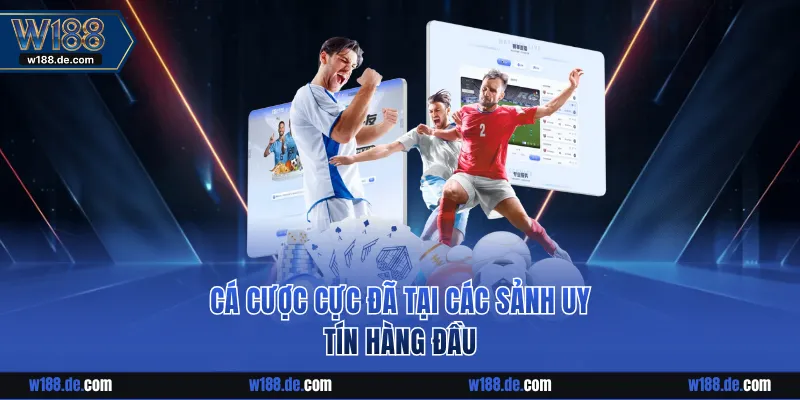 Cá cược cực đã tại các sảnh uy tín hàng đầu